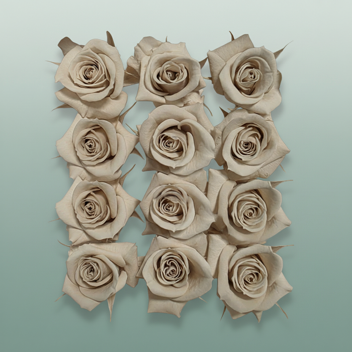 Rose Preserved Mini Sand