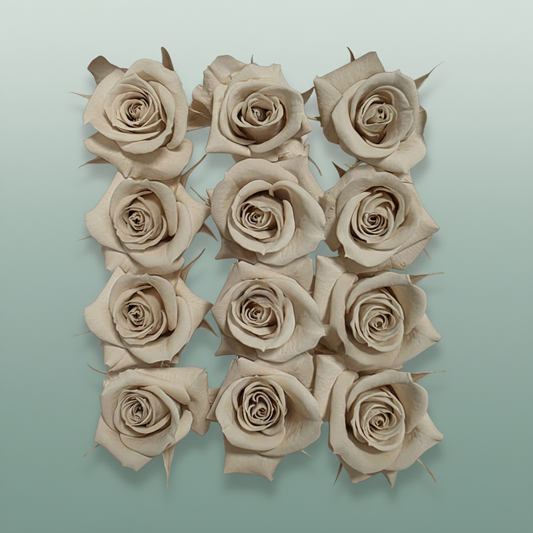 Rose Preserved Mini Sand