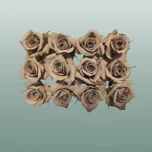 Rose Preserved Mini Latte