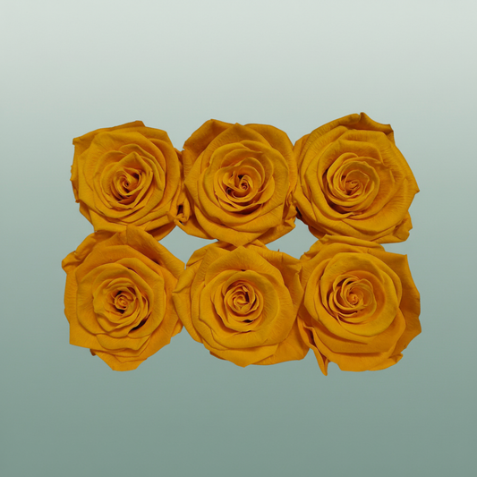 Rose Preserved Classic Yellow Gold