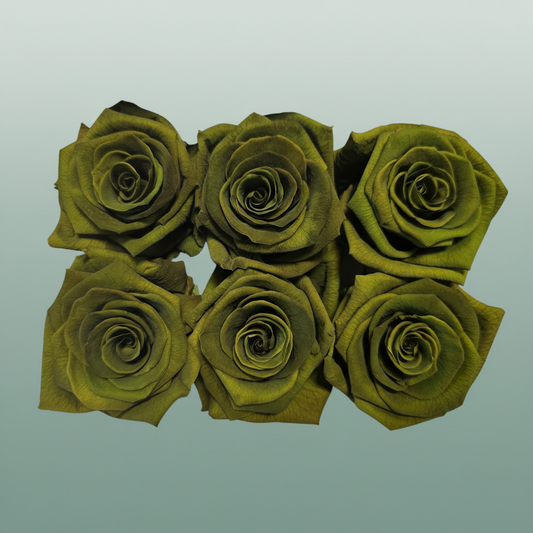 Rose Preserved Classic Green Olive