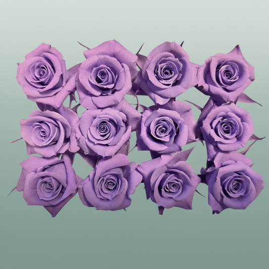 Rose Preserved Mini Purple Light