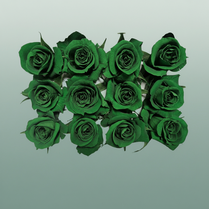 Ro Pres Mini Green Dark