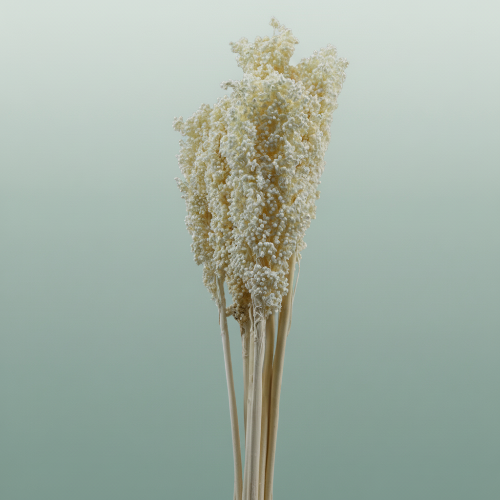 Pres Sorghum Bleached