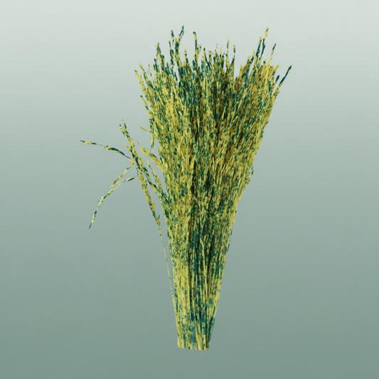 Dried Artz Rice Grass Van Gogh
