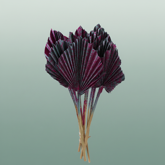 Dried Artz Palm Spear Rubens