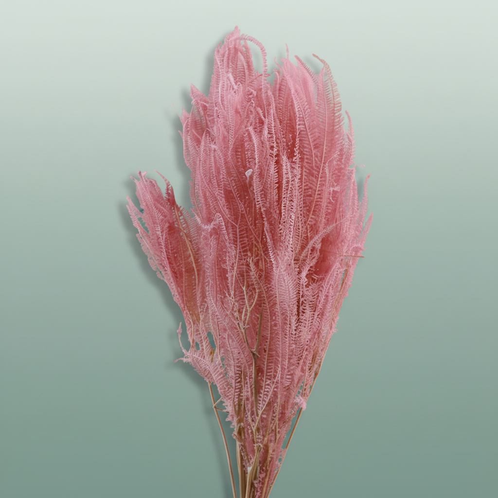 Pres Helecho Light Pink