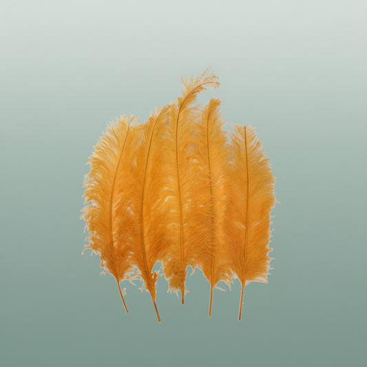 Feather Ostrich Feathers Yellow