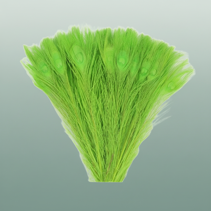 Feathereacock Appelgreen L45-50