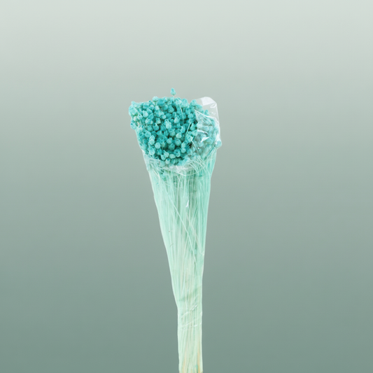 Pres Jazilda Aqua Blue