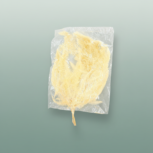 Pres Helecho Seagul Bleached