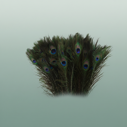 Feather Peacock Natural