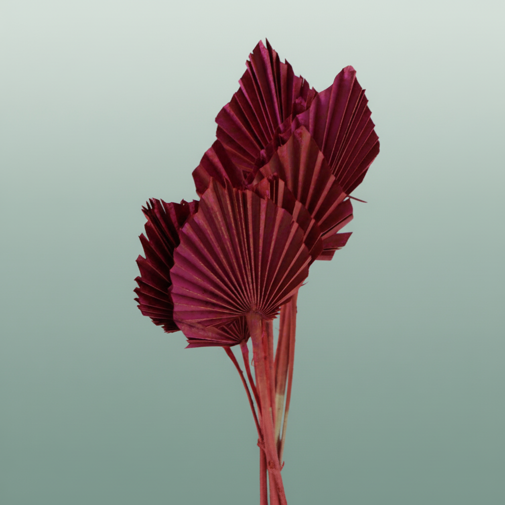 Dried Artz Palm Spear Monet