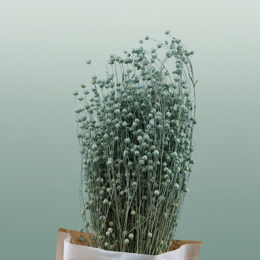 Dried Lino Vlas Frosted Light Blue