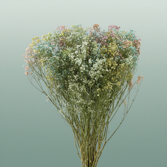 Dried Gyps Rainbow Extra