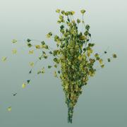Dried Artz Wheep Bamboo Van Gogh