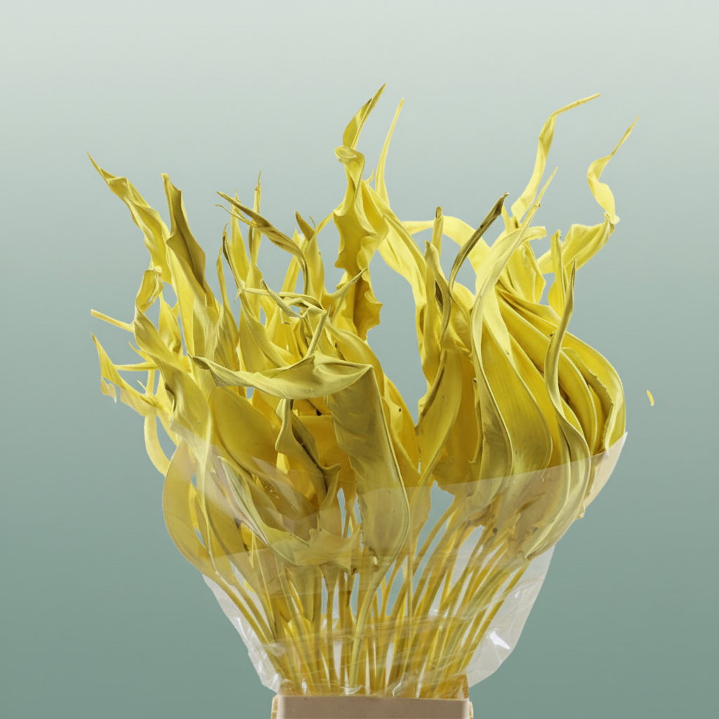 Dried Strelitziablad Geel