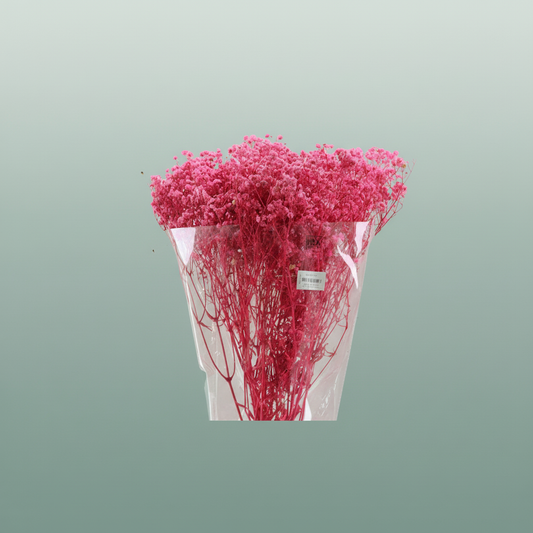Pres Gypsophila Bouquet Bleached Cerise