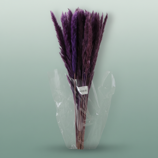 Dried Fluffy Pampas Milka