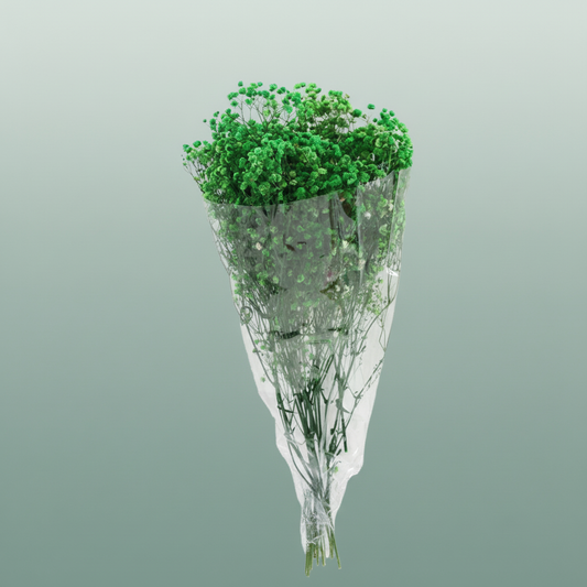 Pres Gypsophila Green