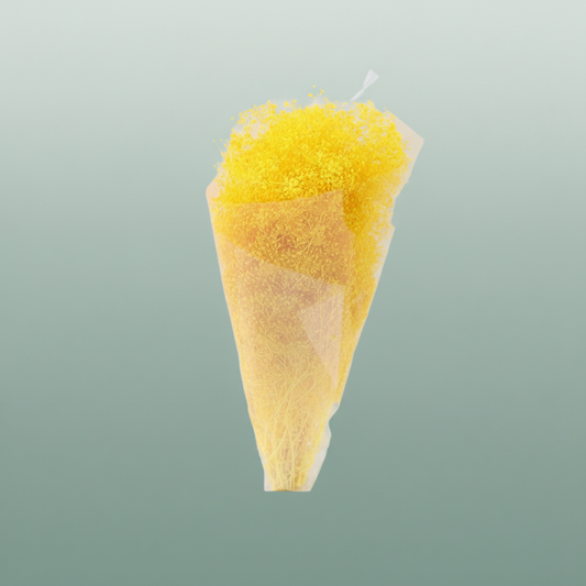 Pres Gypsophila Mini L Yellow