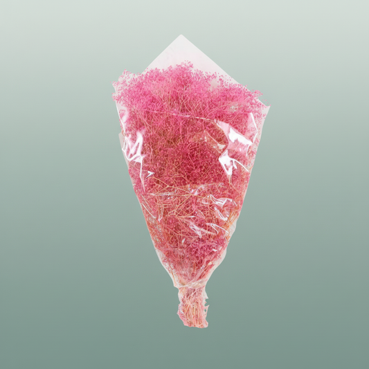 Pres Gypsophila Mini Pink