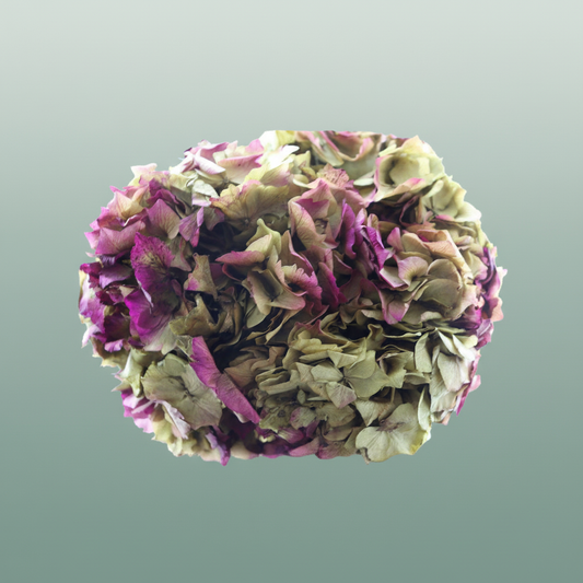 Pres Hydrangea Natural Lilac