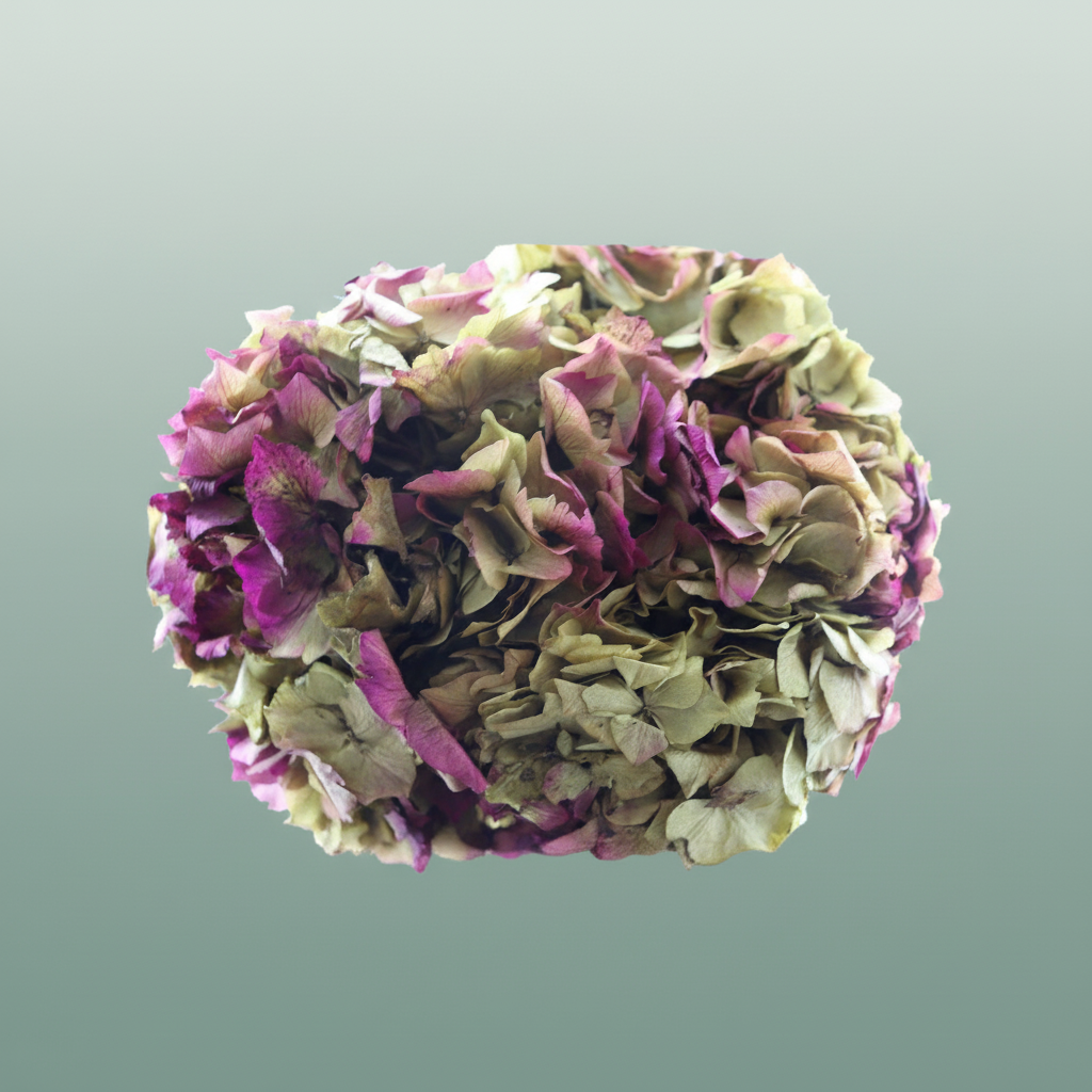 Pres Hydrangea Natural Lilac