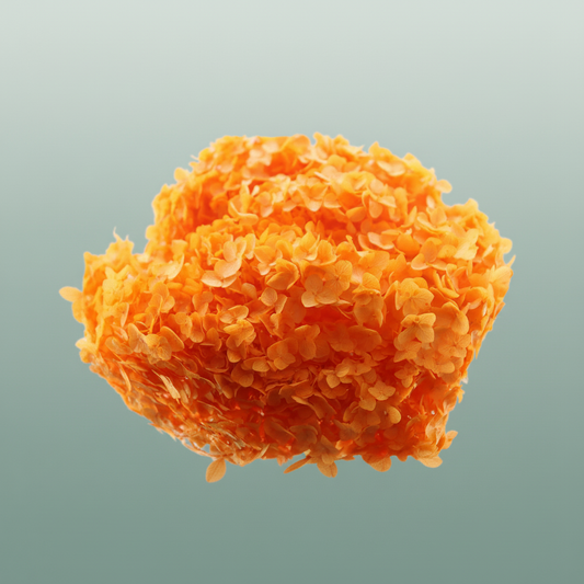 Pres Hydrangea Orange