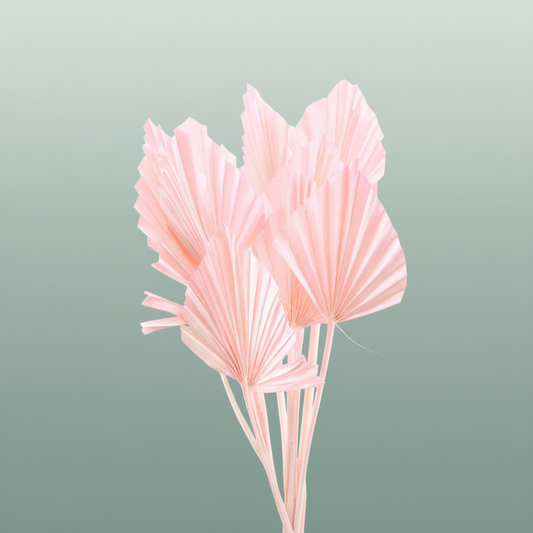 Dried Palm Spear Lightpink