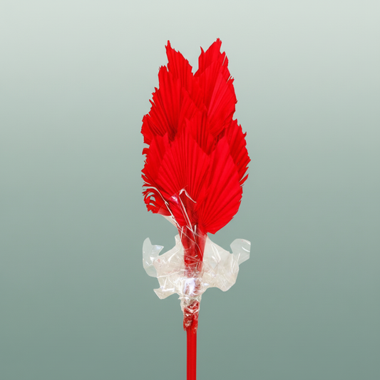 Dried Palm Spear Red