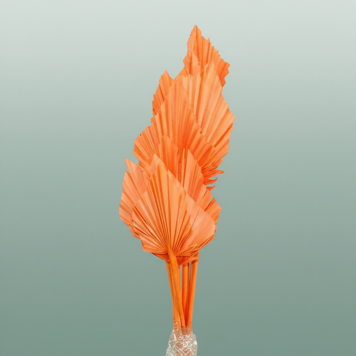 Dried Palm Spear Salmon