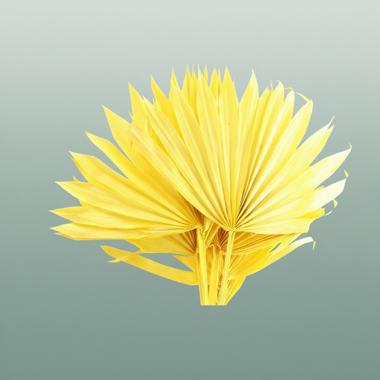 Dried Palm Sun Yellow