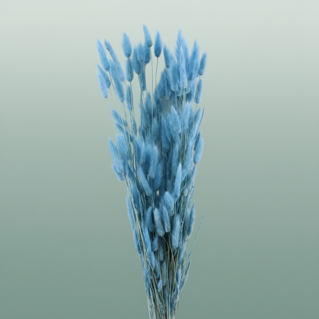 Dried Lagurus L Blue