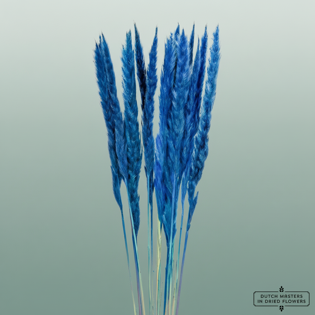 Dried Fluffy Pampas Dark Blue
