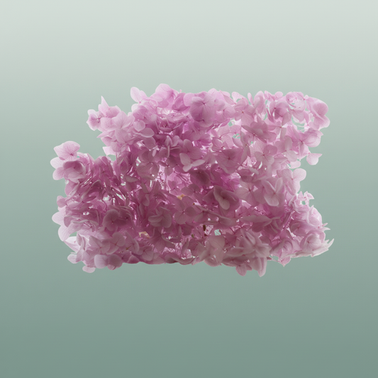 Pres Hydrangea Lilac