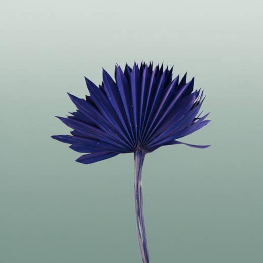 Dried Palm Sun Dark Blue