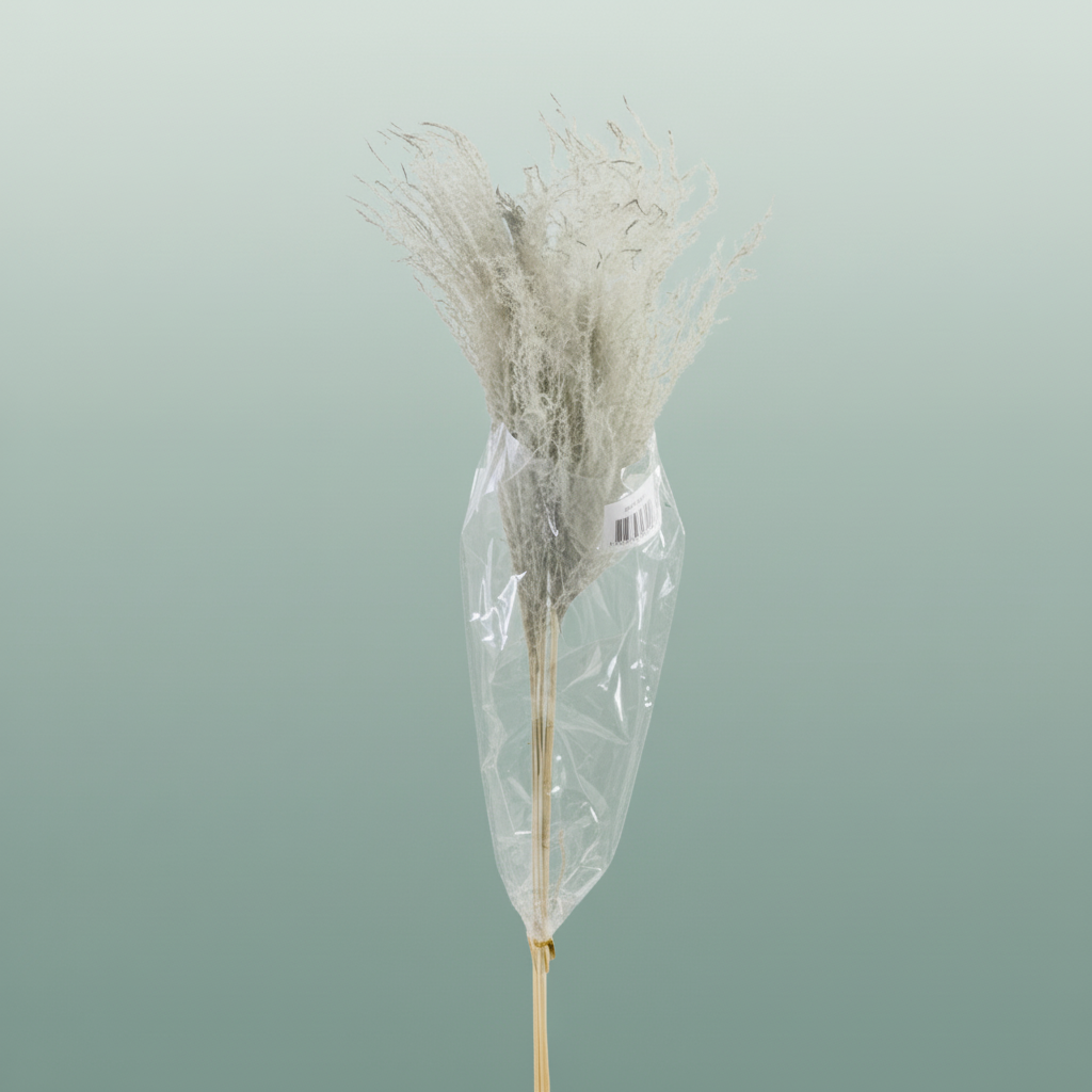 Dried Stipha Feather Grey Large