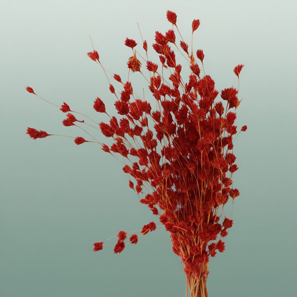 Dried Artz Wheep Bamboo Picasso