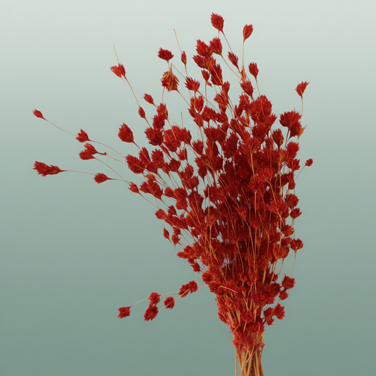 Dried Artz Wheep Bamboo Picasso