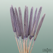 Dried Babala Frosted Milka
