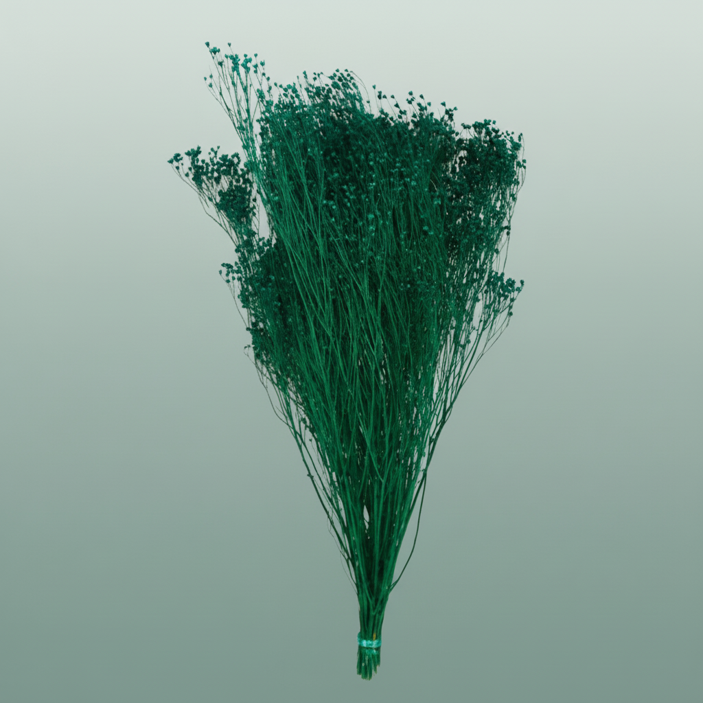 Dried Broom Bloom Dark Green