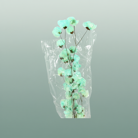 Dried Bougainvillea Turquoise Bunch