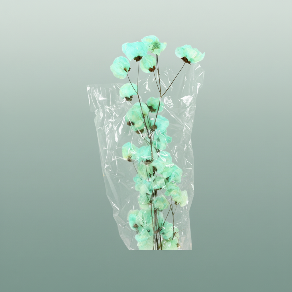 Dried Bougainvillea Turquoise Bunch