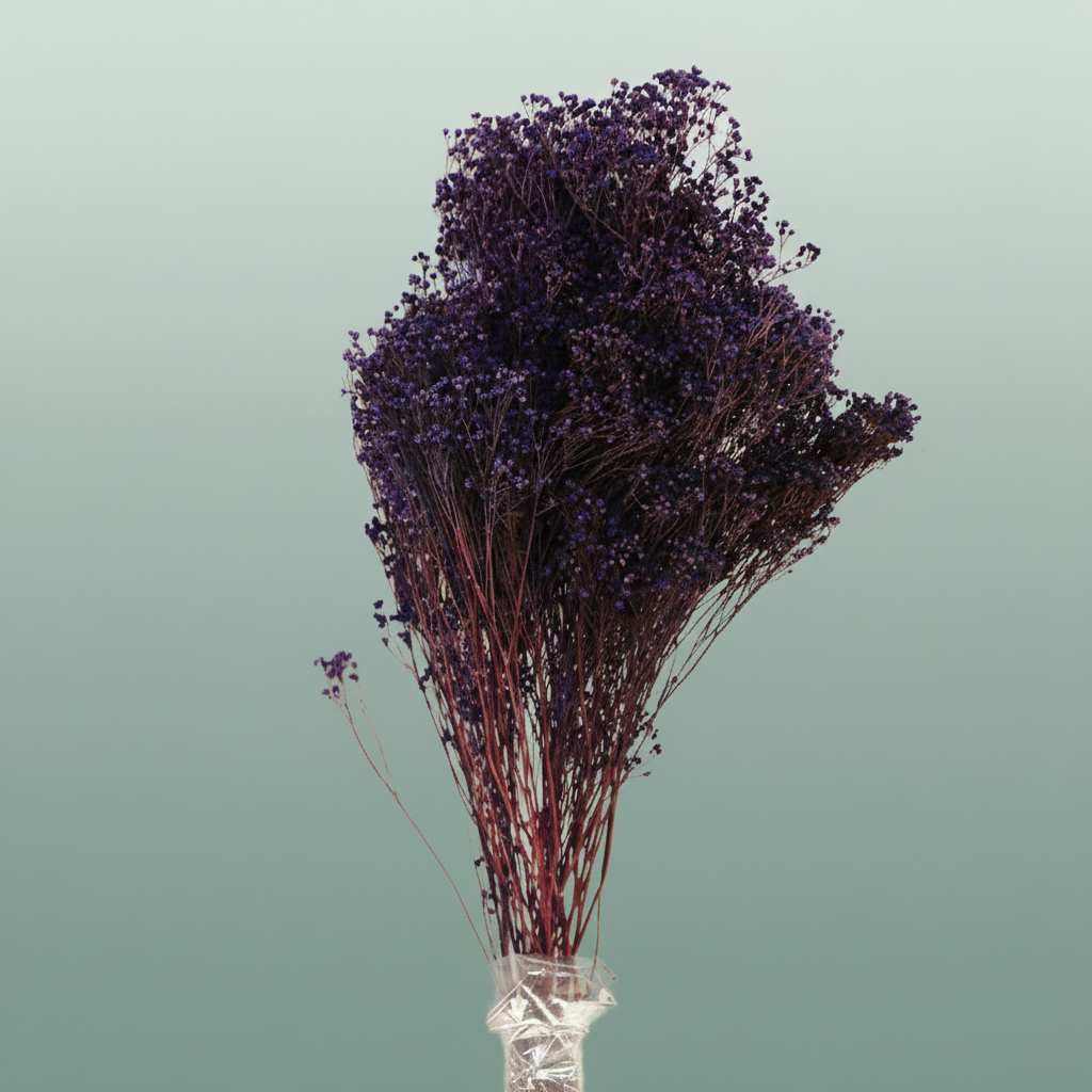 Dried Brooms D Milka