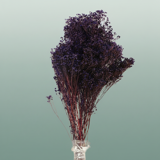 Dried Brooms D Milka