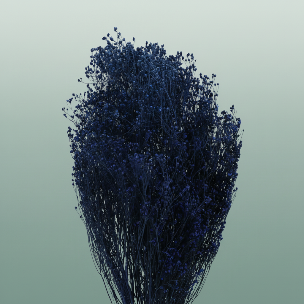 Dried Brooms Dark Blue