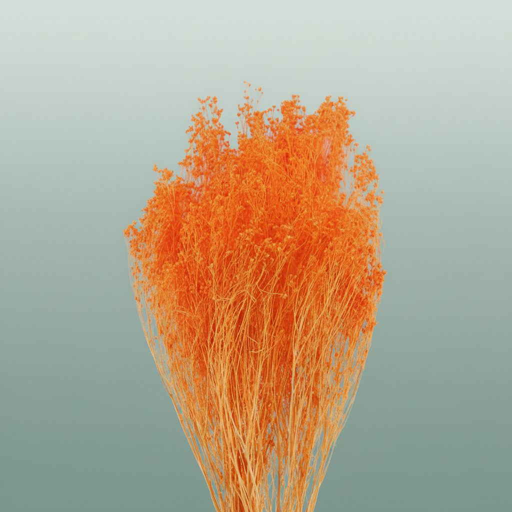 Dried Brooms Orange