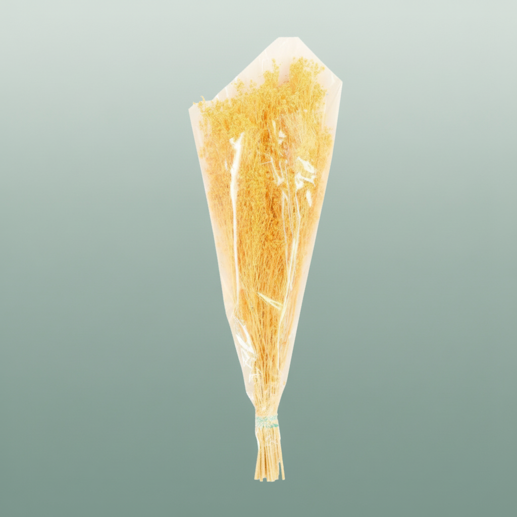 Dried Brooms Soft L Yellow