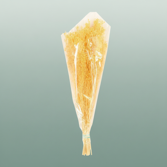 Dried Brooms Soft L Yellow